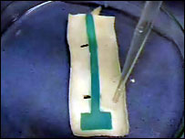 Biotex-textile-sensor